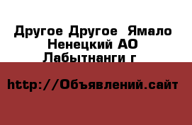 Другое Другое. Ямало-Ненецкий АО,Лабытнанги г.